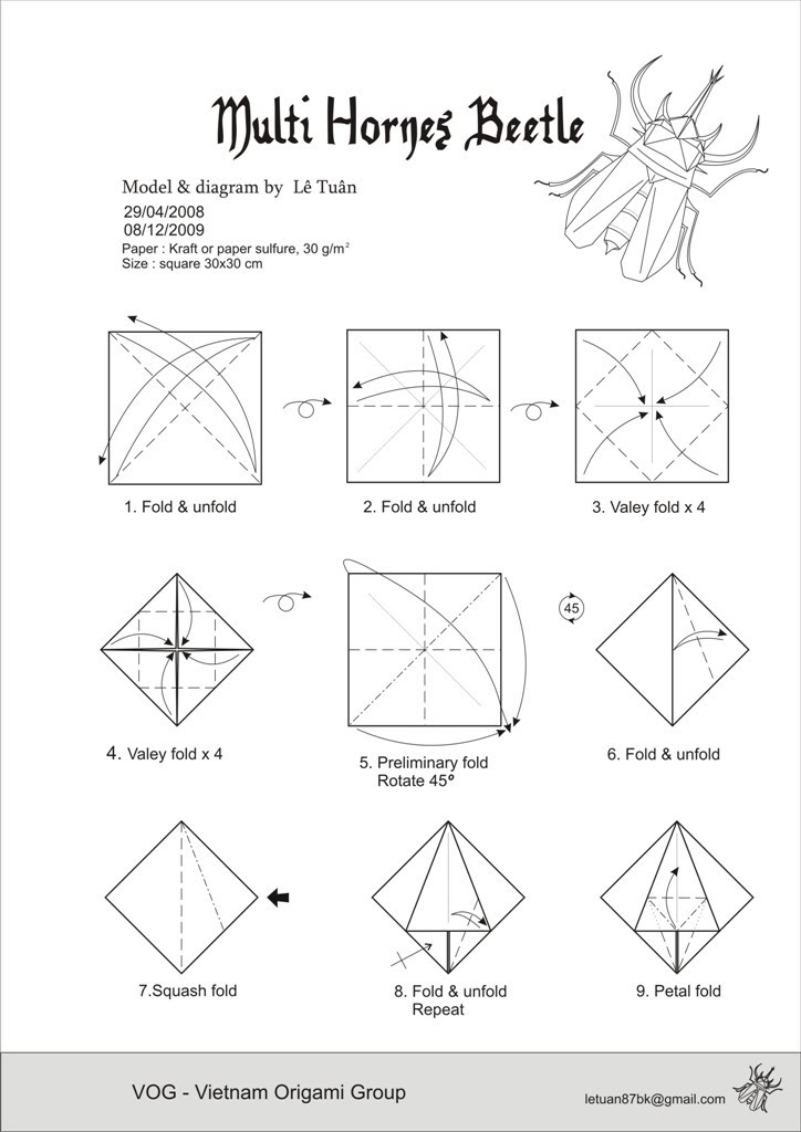 origami beetle diagram