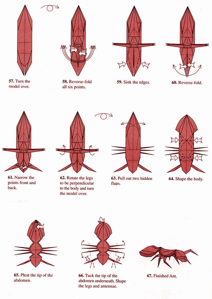 origami diagram complex