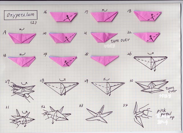 origami fleur coeur d'étoile diagramme