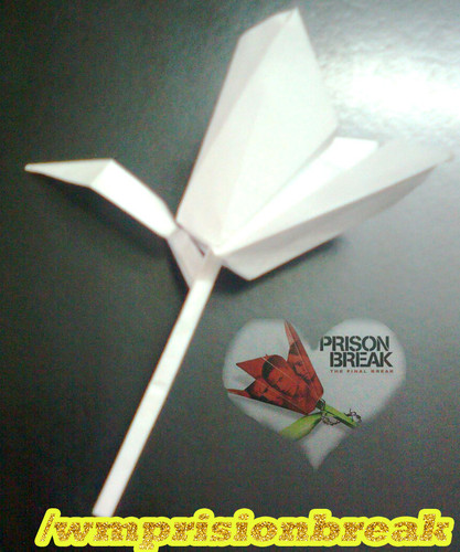 origami flor prison break
