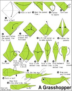 origami grasshopper instructions