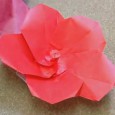 Origami hibiscus instructions