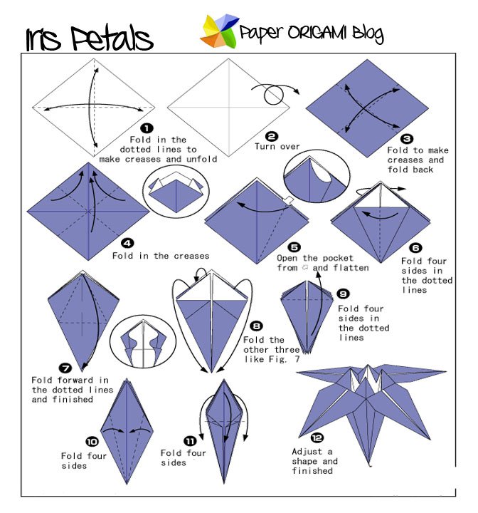 origami iris instructions
