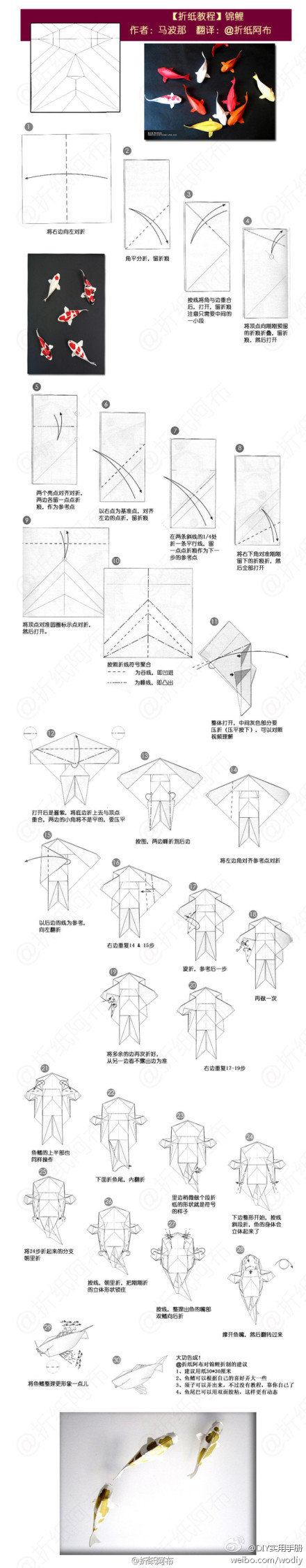 origami koi fish diagram