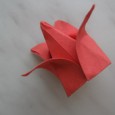 Origami lalea