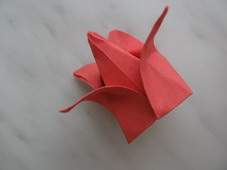 origami lalea