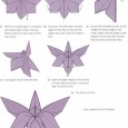 Origami orchid diagram