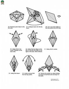 origami orchid instructions