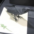 Origami raven diagram