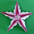 Origami sea star