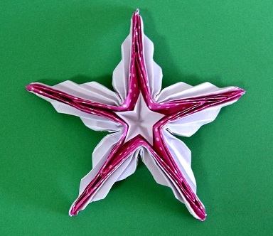 origami sea star