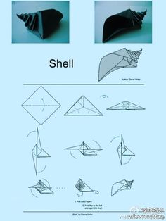origami seashell instructions