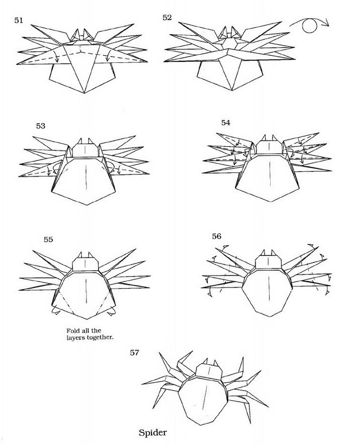 origami spider diagram