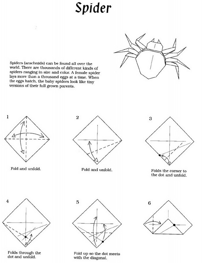 origami spider instructions easy