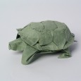 Origami tortoise instructions