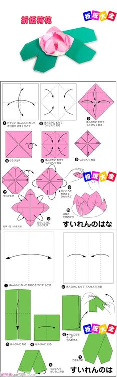 origami water lily instructions