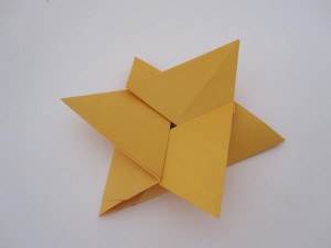 origami with rectangle paper