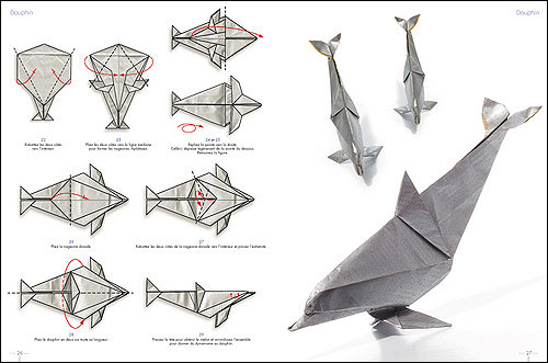 origamie dauphin