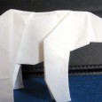 Polar bear origami instructions
