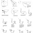 Prison break crane origami instructions