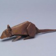 Rat origami