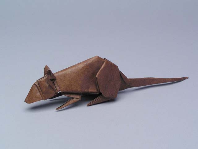 rat origami