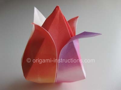 tulip origami instructions