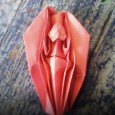 Vagina origami